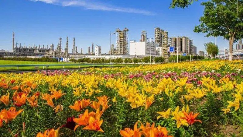 无机化工原料代理加盟前景分析：市场趋势与机遇